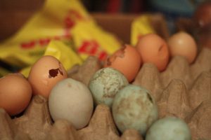 Rotten egg
